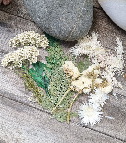 Dried Flowers