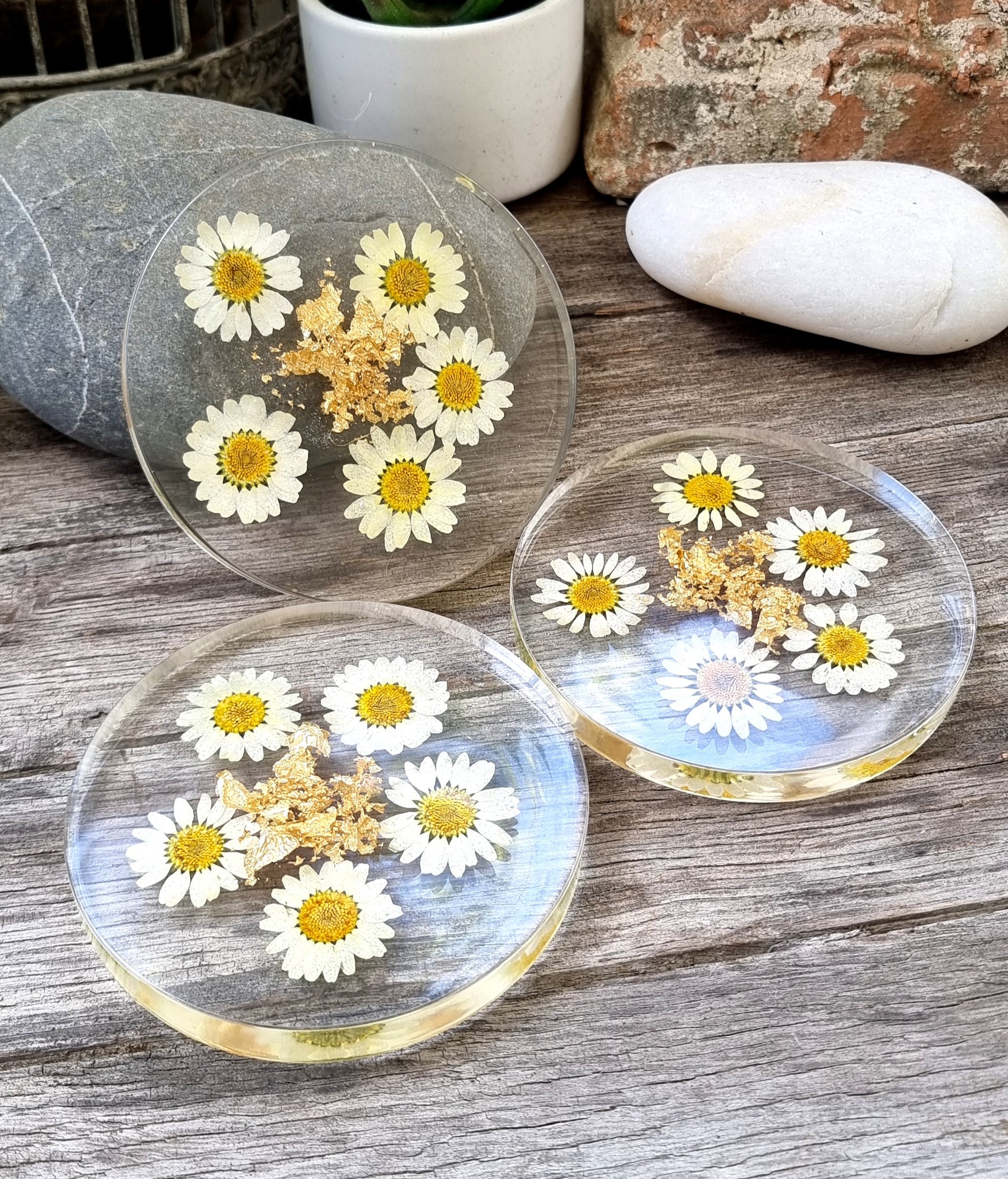 Daisy Coaster Set