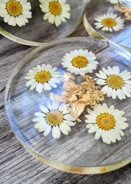 Daisy Coaster Set