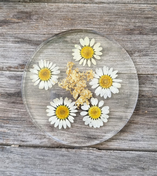 Daisy Coaster Set